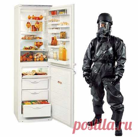 Избавляем холодильник от неприятных запахов / Домоседы