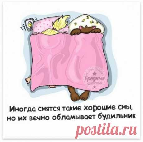 Фразы с картинками / Приколы