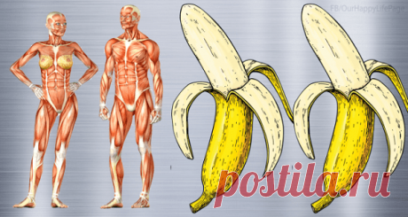 Съедайте 2 банана в день в течение месяца, и вот, что произойдет с вашим телом! Огромный список преимуществ: