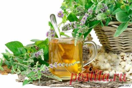 Лучшие рецепты народной медицины при кашле..