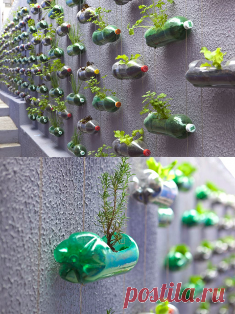 Urban Vertical Garden Built From Hundreds of Recycled Soda Bottles | Colossal