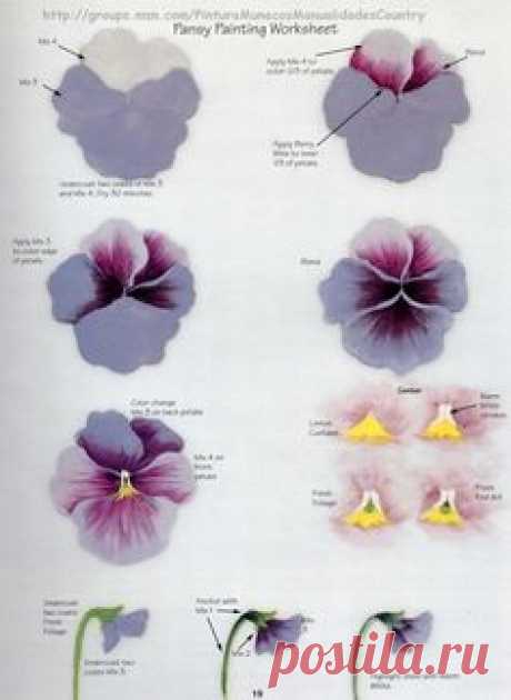 Pansy worksheet by Priscilla Hauser.