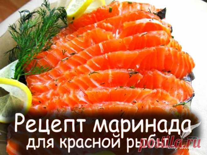 Emily mariko’s salmon bowl. форель соленая. дорогая красная рыба. салат из брюшек семги. рецепт маринада для красной рыбы.