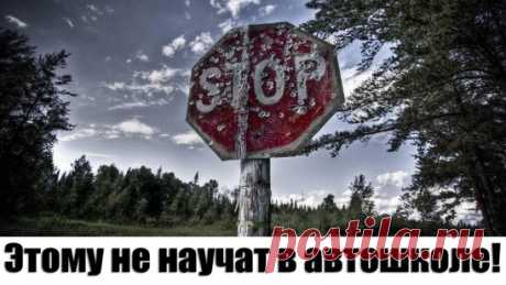 То, чему вас не научат в автошколе