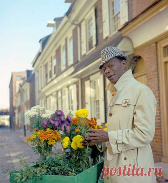 1964. Nat King Cole poses for a portrait session - p3078 | PastYears.info