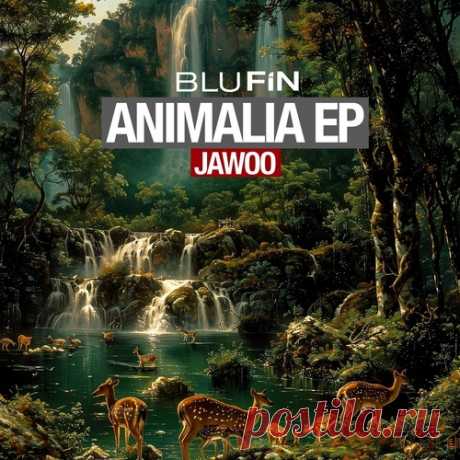 Jawoo – Animalia [BF387]
