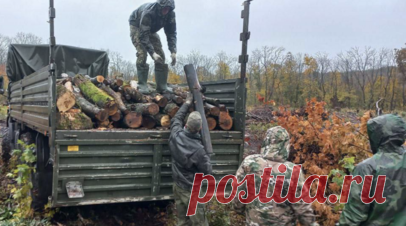 «Бобры» спешат на помощь: в Белгородской области волонтёры помогают заготавливать брёвна для российских военнослужащих. В Белгородской области волонтёры помогают российским военнослужащим, участвующим в СВО, заготавливать брёвна для строительства блиндажей и дрова для буржуек. Сами себя участники этого движения называют «бобрами». Как выяснил корреспондент RT, его уже можно называть народным и общероссийским. Читать далее