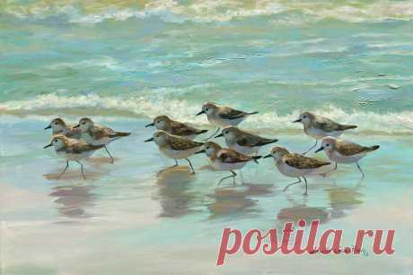 Birds on the Beach by Laurie Snow Hein Birds on the Beach Painting by Laurie Snow Hein