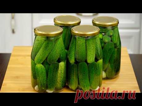 ОГУРЦЫ зимой больше НЕ ПОКУПАЮ! Три лучших рецепта маринованных огурцов!