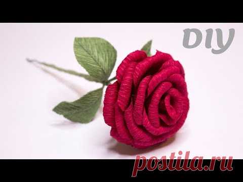 Бархатная роза из гофробумаги легко и просто / Peper flowers rose - YouTube

Сегодня покажу как легко сделать красивую бархатную розу из гофрированной бумаги.