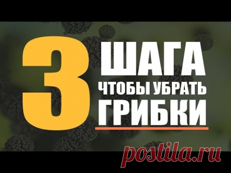 🔥 3 Метода Очищения От Грибков |  Лечение кандидоза и грибковых инфекций | Кандида. Дрожжи. Плесень