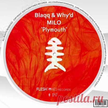 Blaqq &amp; Why’d, Milo (CH) – Plymouth [FLSHT047] ✅ MP3 download