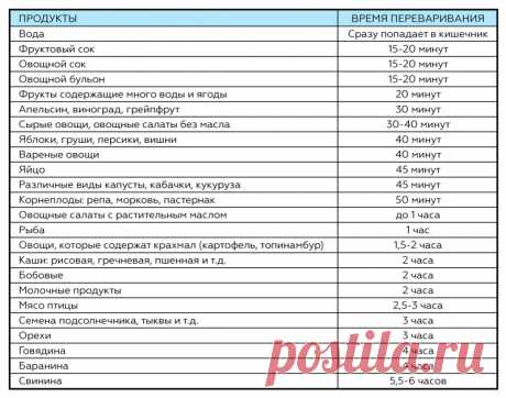 Сколько часов переваривается яблоко. Лучшее время для различных продуктов.