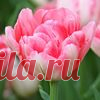 Милые пупсы из капроновых носков: забавная игрушка за один вечер!