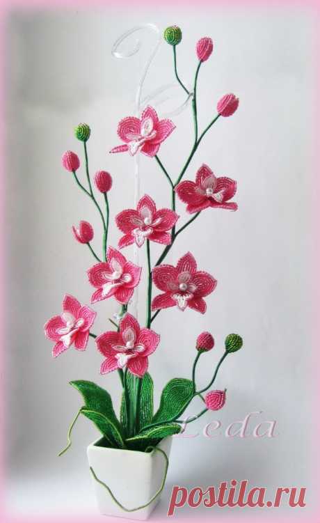 Орхидея из бисера. Мастер-класс - Орхидея - Цветы из бисера - Схемы, мастер-классы - Бисерун