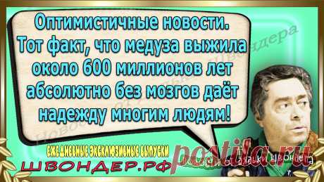 Новости от дядьки Швондера, классный анекдот, смешная фраза, смешной каламбур, известные афоризмы, смех да и только, забавные картинки, сложный юмор, непонятные анекдоты, цитаты из интернета, необычное развлечение, Швондер говорит, Шариков, Собачье сердце, улыбка до ушей, эксклюзивный выпуск новостей, ржака, потеха, фарс, наколка, проделка, шутка, юмор, анекдоты в картинках, юмор в картинках, свежие приколы, фенечка, смешная фишка, улыбка, ржачка, интересное в сети, смешок, смех, швондер.рф