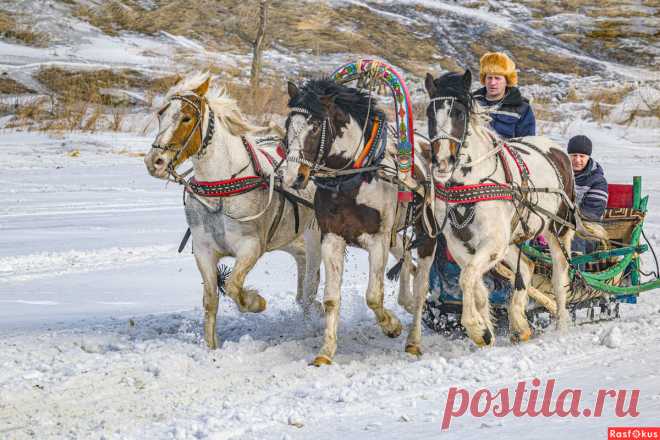 Фото: Доброе утро, друзья! С наступающим Вас СТАРЫМ НОВЫМ ГОДОМ! Доброго ВАМ здоровья , Добра и Добрых дел!. Фотограф ФотоСОП. Репортаж - Фотосайт Расфокус.ру