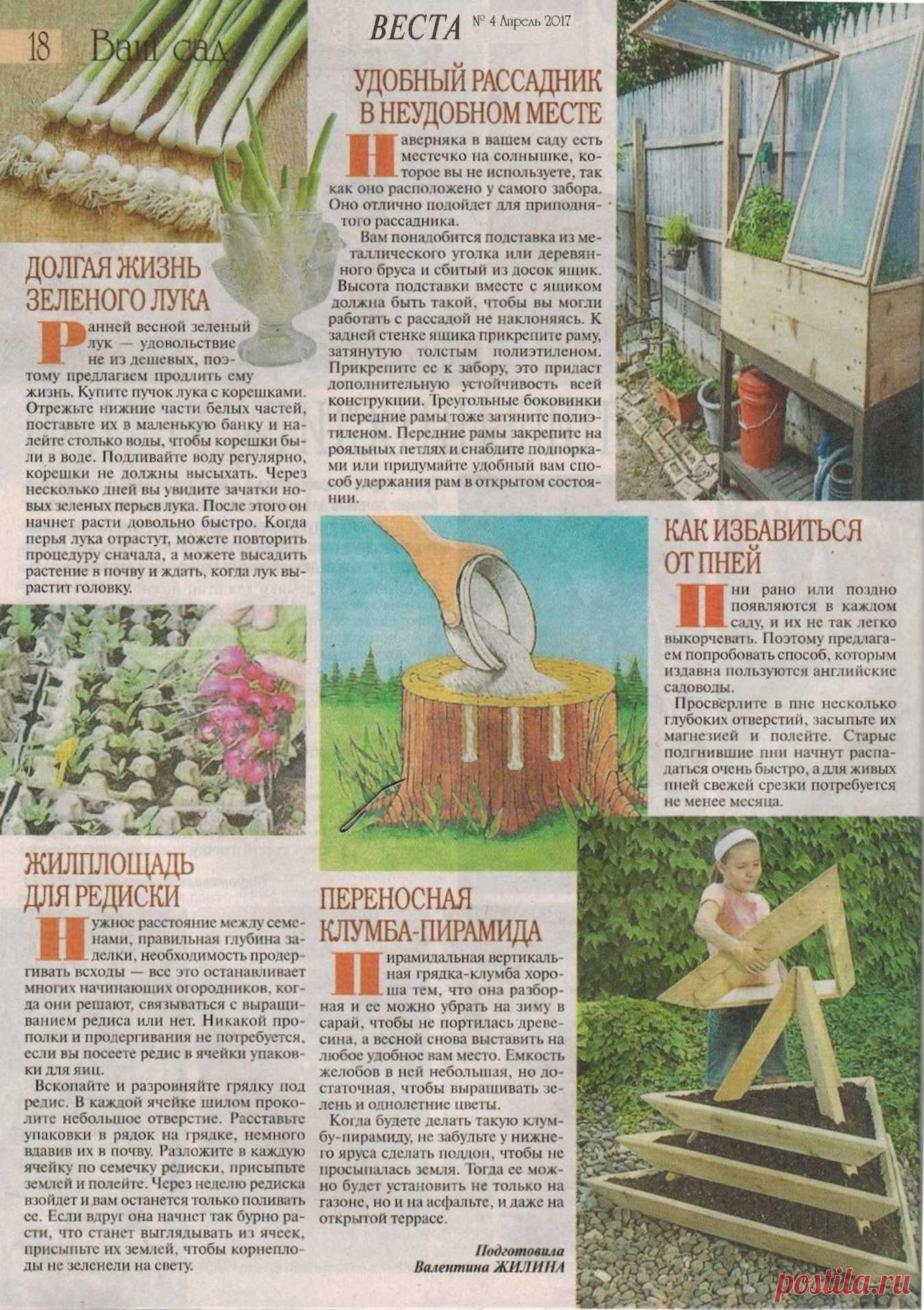 Дачные советы
