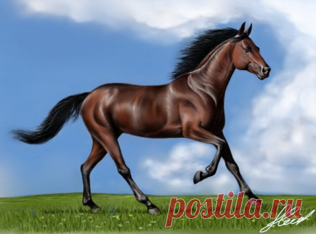 Картинки для детей про лошадь (35 фото) ⭐ Забавник