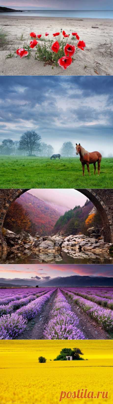 Болгарские пейзажи фотографа Евгения Динева (67 фото) » Невседома - жизнь полна развлечений,: Он начал заниматься фотографированием пять лет тому назад, сконцентрировавшись на весьма разнообразной природе родной страны. Благо, ландшафты Болгарии позволяют охватить практически все возможные виды пейзажей ...