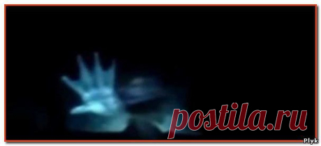 Русалка на видео, снимали подводники! | Загадочное и необъяснимое | Плюк - Блог о паранормальном и мистическом - Ку!