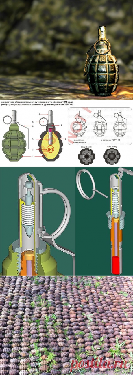 Почему гранату Ф-1 называют «лимонкой» ?