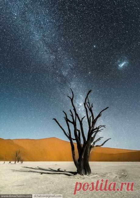 Ночь в пустыне, Намибия. «Ночной Дэдвлей (в переводе с англо-африканского — «мертвое болото»). Легендарное место, послужившее источником вдохновения тысячам фотографов. Это настоящий инопланетный лес, очаровывающий днем и совершенно влюбляющий в себя ночью. Молодой месяц на длинных выдержках дает глубокие тени, явно отрисовывая передний план и создавая иллюзию дневного освещения, но при этом не засвечивает звездное небо…» – рассказывает фотограф Дмитрий Шатров: