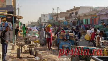 Мавритания хочет сотрудничать с Россией в сфере продуктовой безопасности