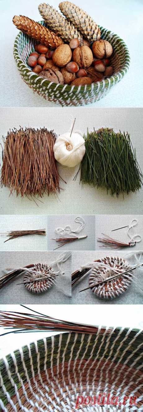 Плетение корзины из свежей и сухой хвои