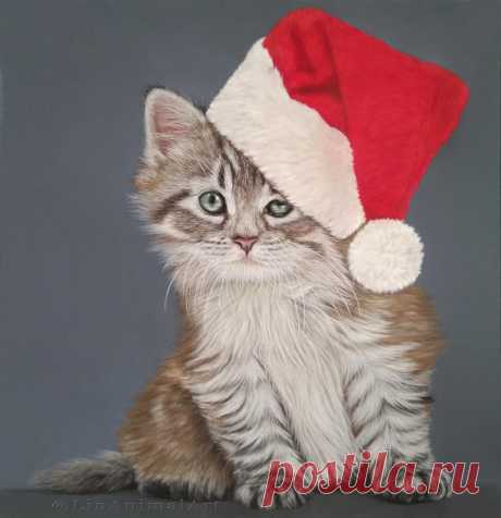 Christmas cat by Linanimalart on DeviantArt