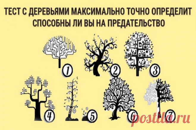 Выбирайте дерево и живите. Тест выбери дерево. Укажи дерево. Тест выбери дерево на картинке. Психология выбор дерева что означает.