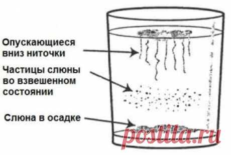 Домашний тест на наличие грибка кандида в организме и способы лечения дисбаланса — Сияние Жизни