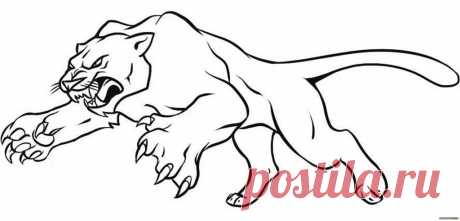 Эскизы тату пантера — ТОП (Лучших Идей) и их значение