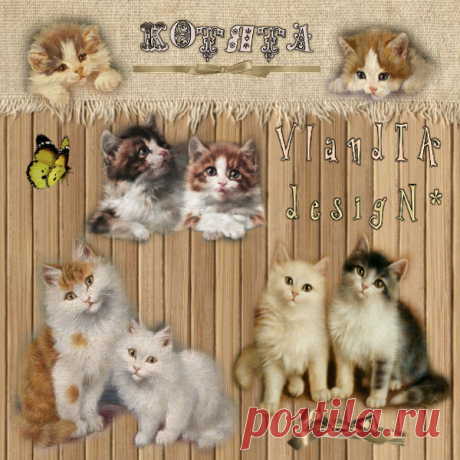 картинки PNG для декупажа котята на ГЛАВНОЙ - 20 Октября 2016 - VIandTA desigN* - Hand Made