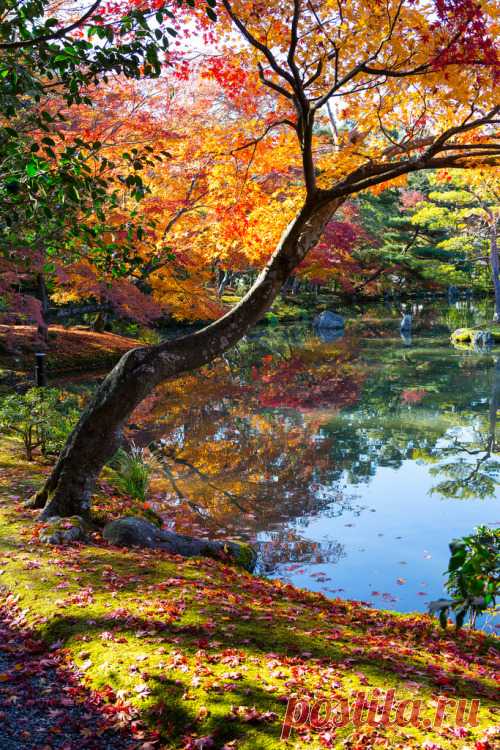 Twilightsolo - de-preciated: bitt-n.com - Autumn in Kyoto &...