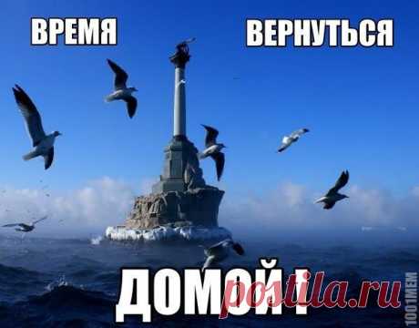 сатира | Фотографии 1-й Украинский ИНТЕР-ФРОНТ | 12973 фото | Группы Мой Мир