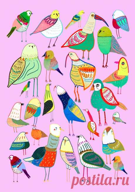 bird illustration, artwork, illustrator, for hire, license, art print, bird pattern, illustration art, drawing, nature art, animal illustration, - Ashley Percival Illustration