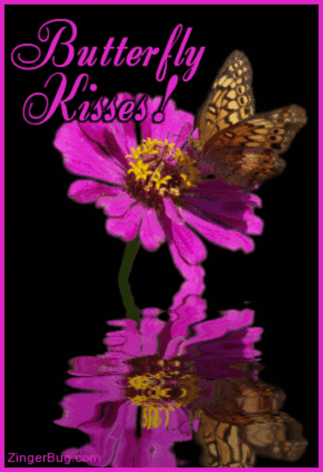 Butterflies images Butterfly Kisses,Animated wallpaper and background photos (19842537)