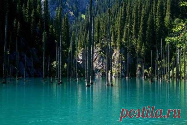 Озеро Каинды - затонувший лес в Казахстане