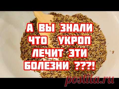 Пила укропную воду утром и на ночь! Вылечила 10 болезней и даже похудела