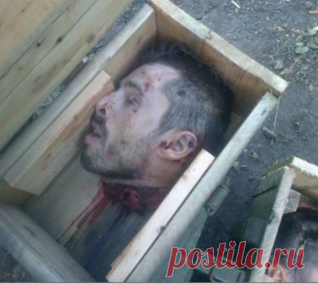 Украинские каратели прислали матерям донецких ополченцев отрезанные головы сыновей - АНТИФАШИСТ - Антифашистский форум Украины