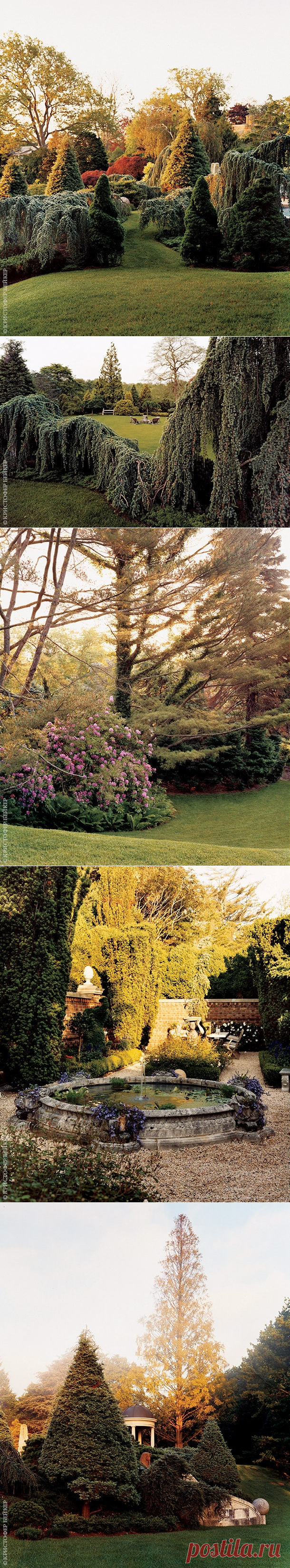 Пейзажный сад Тони Инграо и Ренди Кемпера в Англии в Ист-Хэмптоне | Admagazine | AD Magazine