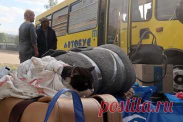 В Харьковской области заявили о принудительной эвакуации