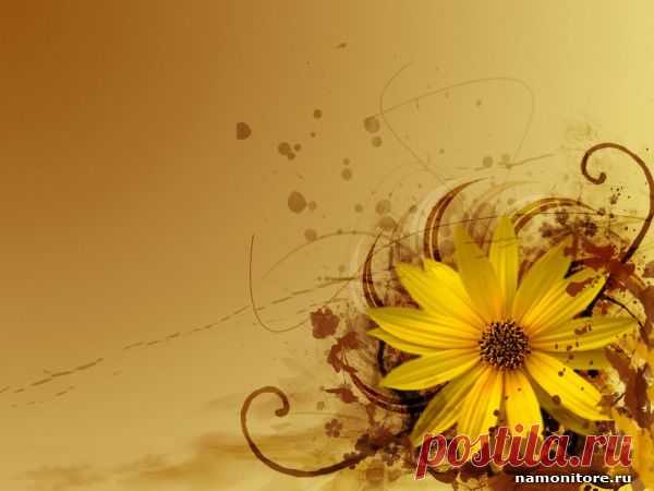 Жёлтый цветок, жёлтое, коричневое, лучшее, рисованное, цветы - 3d-графика - Обои для рабочего стола. Wallpapers