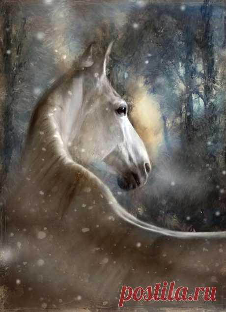 The Spirit Of Winter by Dorota Kudyba The Spirit Of Winter Digital Art by Dorota Kudyba