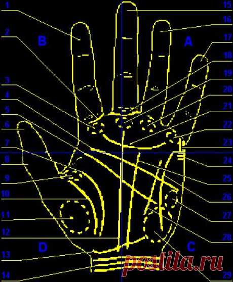 Гадание по руке