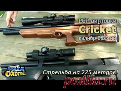 Пневматика Cricket и стрельба на 225 метров (ТВ-программа)