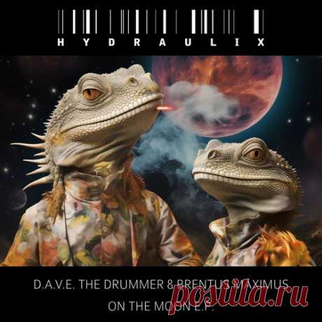D.A.V.E. The Drummer, Brentus Maximus - On The Moon E.P. free download mp3 music 320kbps