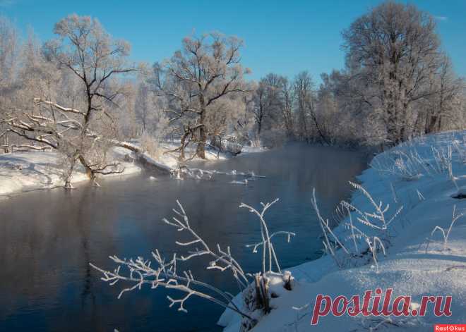 Фото: Морозный день. Худофотожник, хотолюбитель, графофотоман © Александр Медведев. Пейзаж. Фотосайт Расфокус.ру