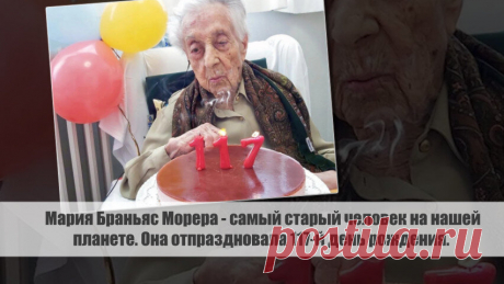Мария Браньяс Морера - самый старый человек на нашей планете. Она отпраздновала 117-й день рождения. Статья автора «С Миру по новости - читателю интересный канал» в Дзене ✍: Мария Браньяс Морера - самый старый человек на нашей планете. В этот день она празднует 117-й день рождения.